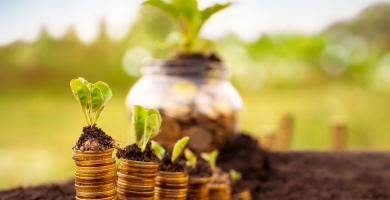 ¿Cómo asegurar tu futuro financiero